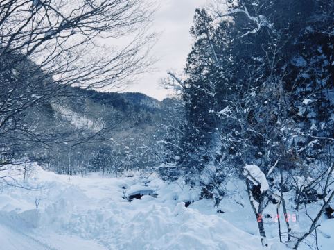 八丁の湯 クーポン