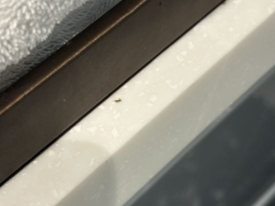 鉑瑞斯行政公寓（深圳海岸城南油服裝城店）優惠