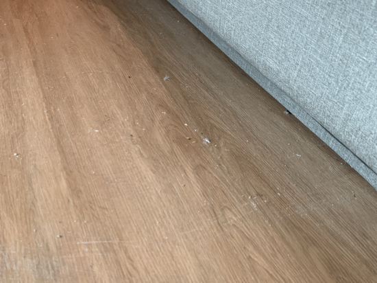 新加坡聖淘沙名勝世界邁克爾酒店（Staycation Approved）優惠