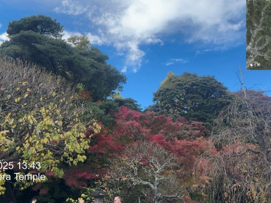 JR東日本鎌倉大船METS飯店優惠
