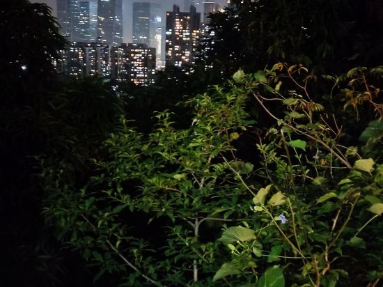 深圳青青世界飯店優惠