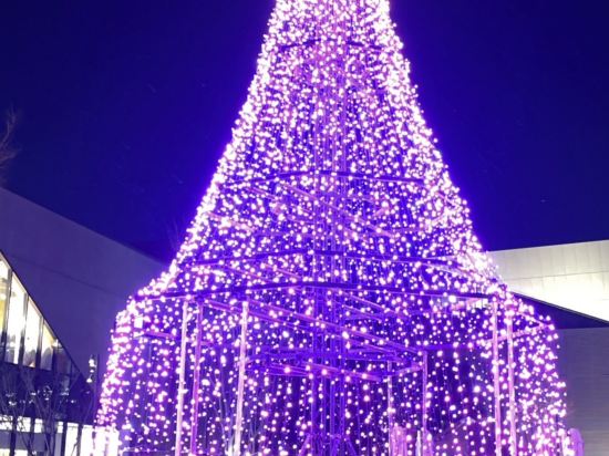 ホテルエミシア東京立川 クーポン