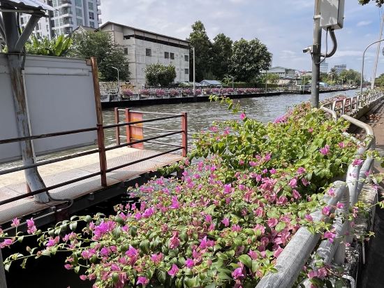 曼谷巴龍公寓優惠