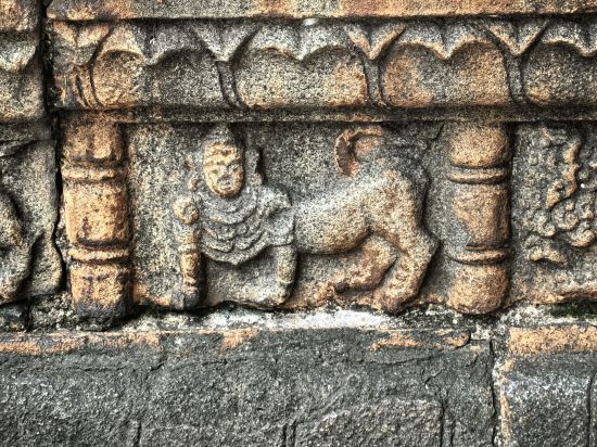 晉江榮譽大酒店優惠