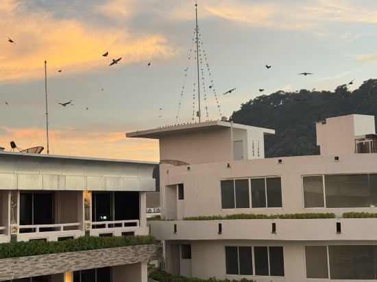 芭東南灘歡樂鴻居飯店優惠