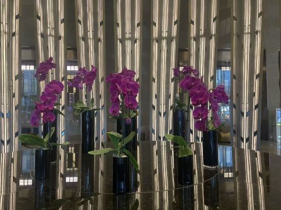 東莞富力萬達文華飯店優惠