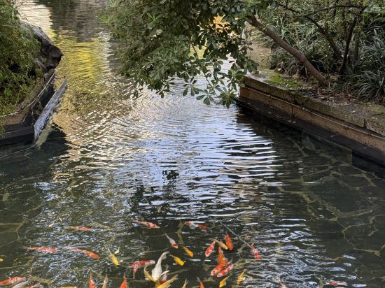 上海松江廣富林宰相府飯店優惠