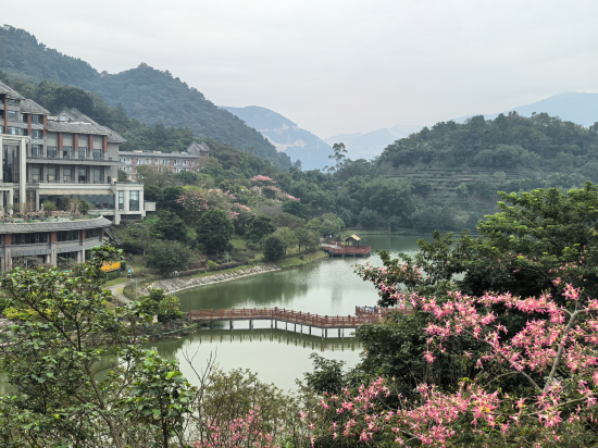 新興翔順象窩飯店優惠