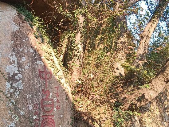 蘇州日航酒店優惠