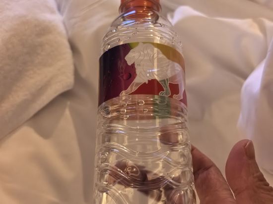 澳門美獅美高梅酒店優惠