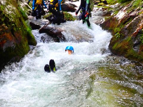 水上館 クーポン