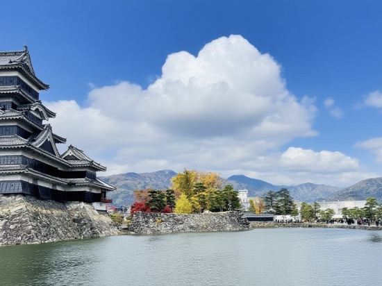 松本威爾頓飯店優惠
