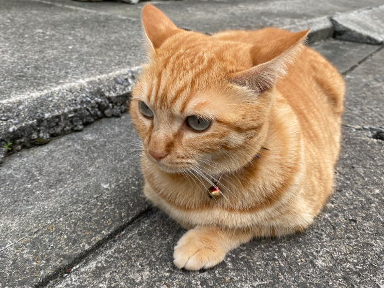 民宿たつや旅館　沖縄那覇店 クーポン