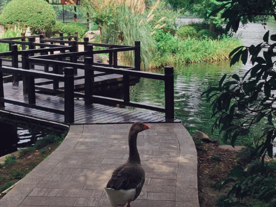 上海西郊賓館優惠