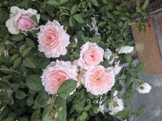 貴陽花果園文創園輕居飯店優惠