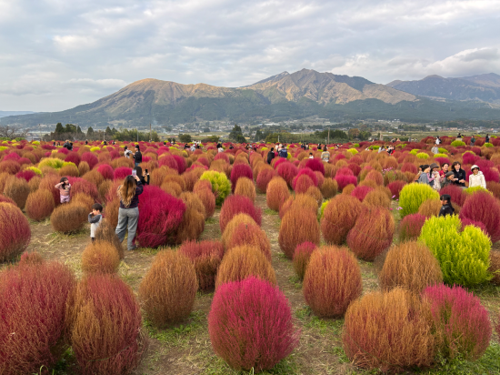 熊本機場維斯塔飯店優惠