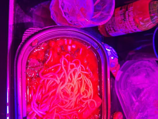 星程酒店（上海國際旅遊度假區秀浦路店）優惠