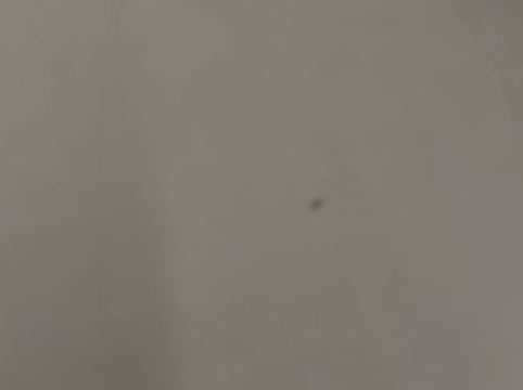 香港遠東絲麗酒店優惠