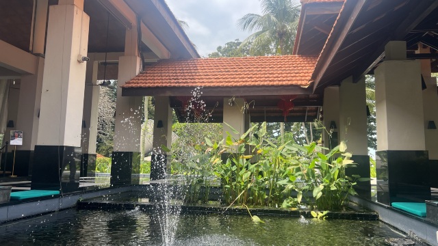 review picture