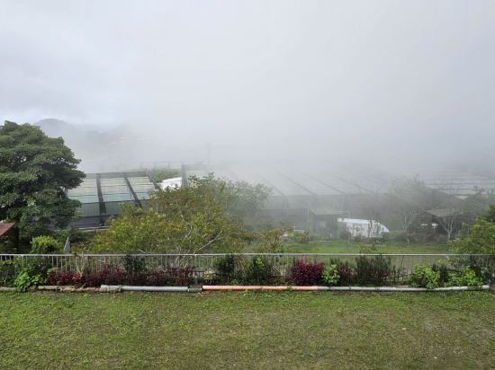 阿里山初日民宿優惠
