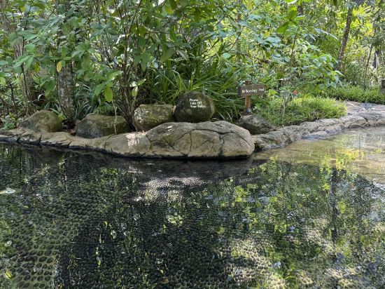 萬雅嵐温泉度假村優惠