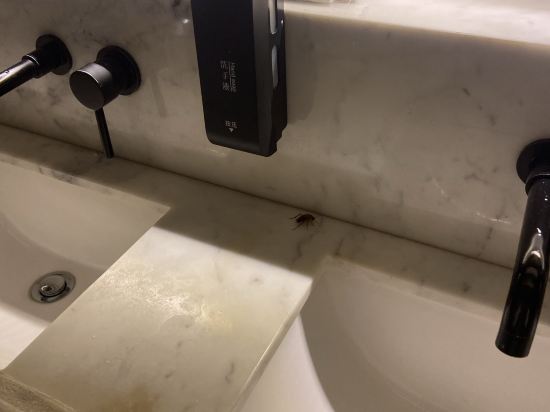 ST共居旅店 - 丹戎巴葛優惠