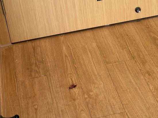 深圳喜悦假日酒店優惠