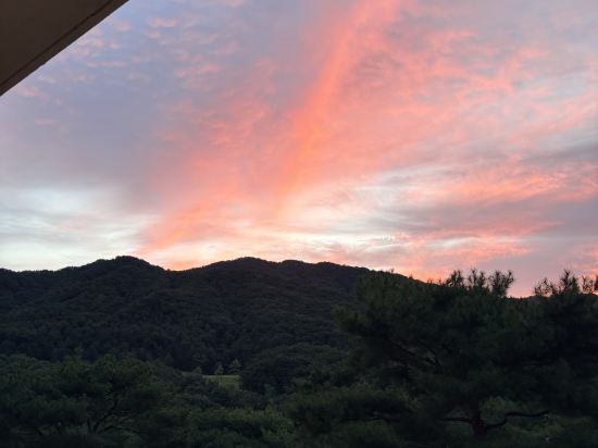 오크밸리 리조트 쿠폰
