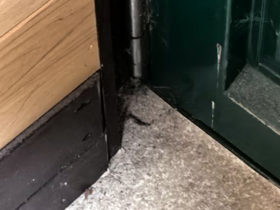 ホテル モルゲンロート クーポン