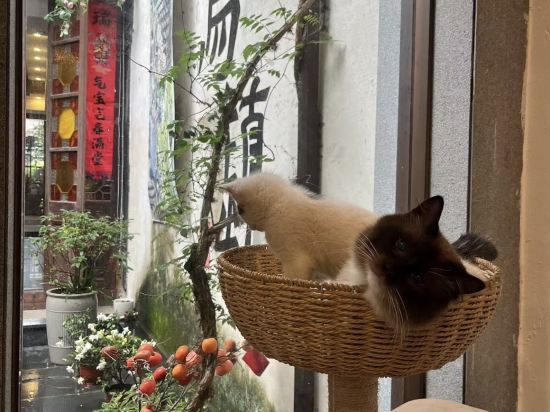 心選·雋木美宿（烏鎮景區店）優惠