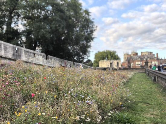 莫希約克酒店優惠