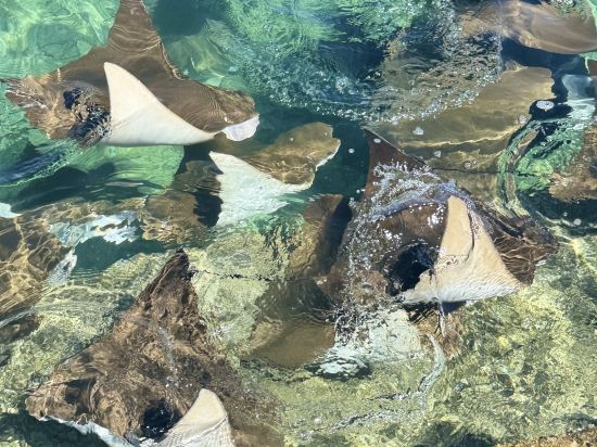 沖繩萬麗度假飯店優惠