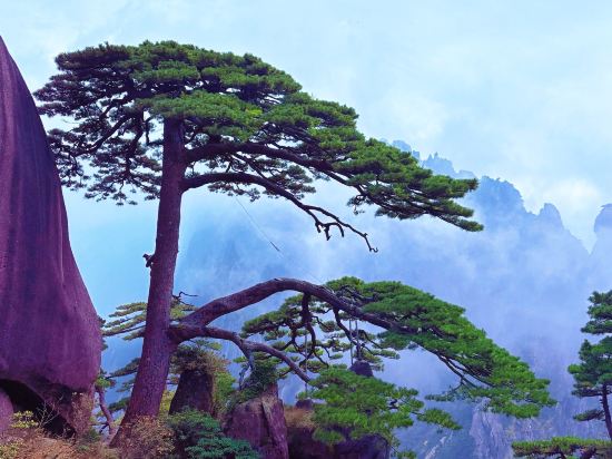 黃山光明頂山莊優惠