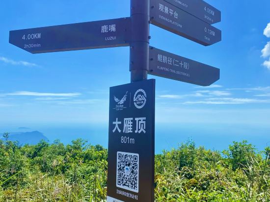 美豪酒店（深圳羅湖筍崗中心店）優惠