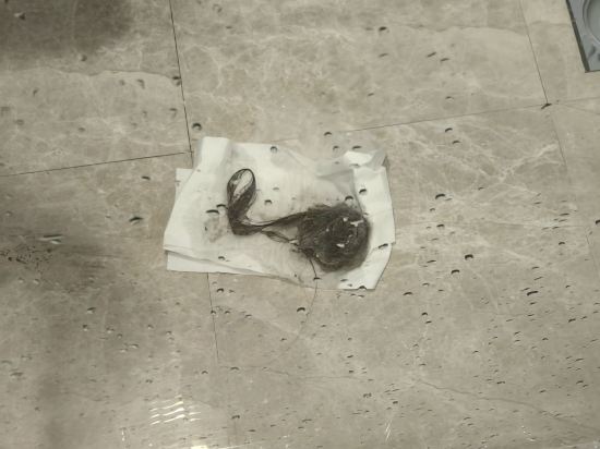 澳門富華飯店優惠