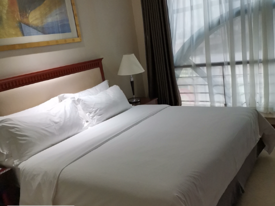 深圳維景酒店優惠