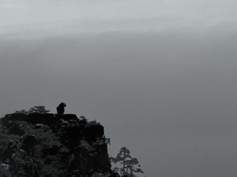 黃山獅林大酒店優惠