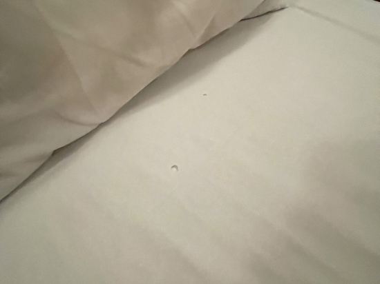 J호텔 수원 쿠폰