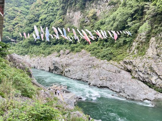 峡谷の湯宿 大歩危峡まんなか クーポン