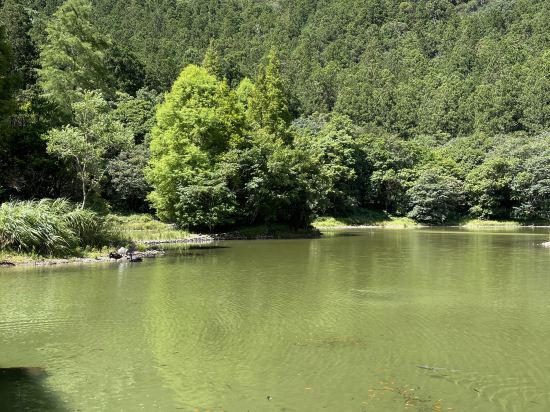 宜蘭大同明池山莊優惠
