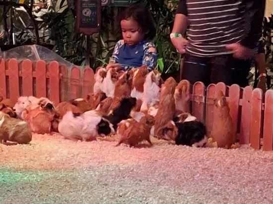 雙威迷失世界酒店優惠