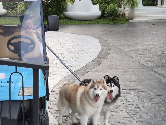 芭提雅米尼艾拉泳池別墅優惠