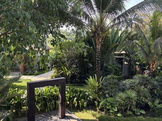 烏布加西亞飯店優惠