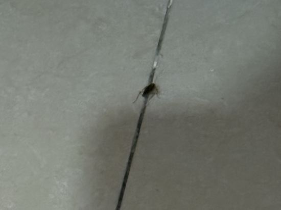 御江苑維福頓公寓（廣州北京路海珠廣場地鐵站店）優惠