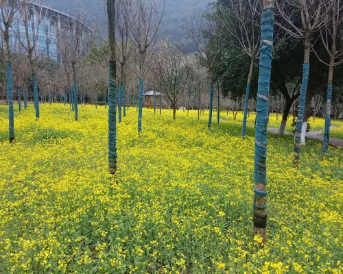 City Comfort Inn (Guilin Railway Station Branch) Photos