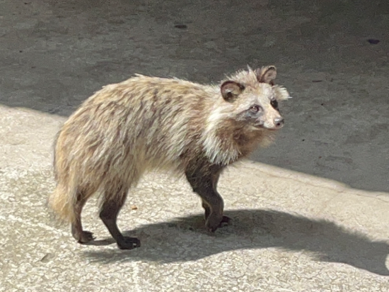 五色の湯旅館 クーポン