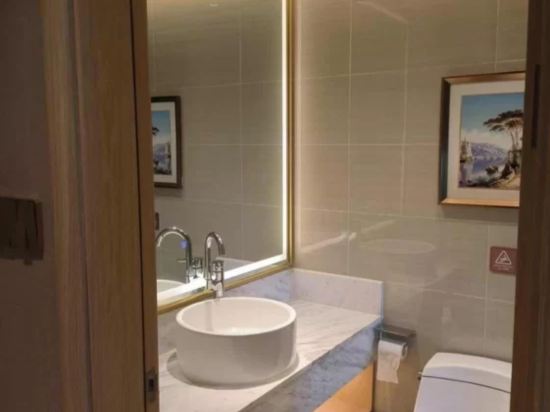 維也納飯店（深圳國際會展中心橋頭地鐵站店）優惠