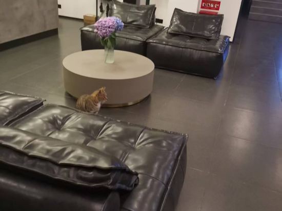 花築奢·Raw酒店（金馬碧雞翠湖昆明店）優惠