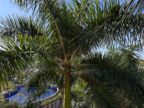 美林湖溫泉大飯店優惠