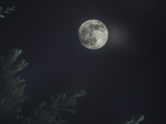 阿帕門國際公寓（拱北口岸高鐵站店）優惠